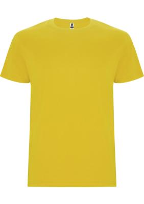 Stafford short sleeve kids t-shirt